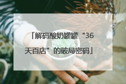 解码酸奶罐罐“36天百店”的破局密码