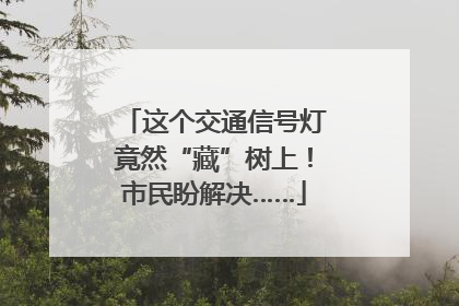 这个交通信号灯竟然“藏”树上！市民盼解决……