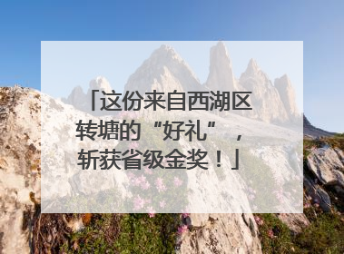 这份来自西湖区转塘的“好礼”，斩获省级金奖！