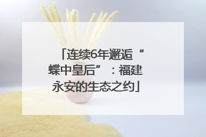 连续6年邂逅“蝶中皇后”：福建永安的生态之约