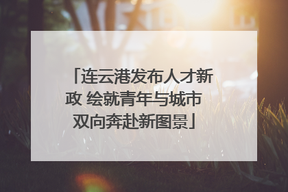 连云港发布人才新政 绘就青年与城市双向奔赴新图景