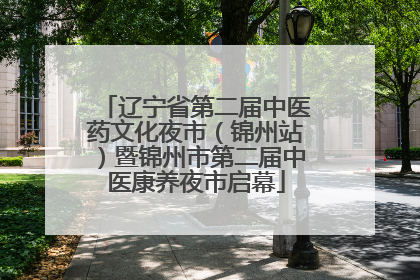 辽宁省第二届中医药文化夜市（锦州站）暨锦州市第二届中医康养夜市启幕
