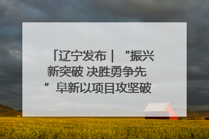 辽宁发布｜“振兴新突破 决胜勇争先”阜新以项目攻坚破解发展瓶颈 经济发展实现良好开局