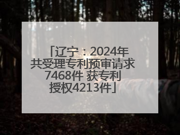 辽宁：2024年共受理专利预审请求7468件 获专利授权4213件