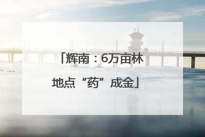 辉南：6万亩林地点“药”成金