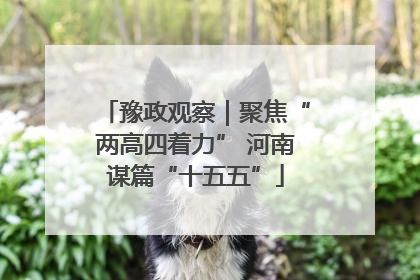 豫政观察｜聚焦“两高四着力” 河南谋篇“十五五”