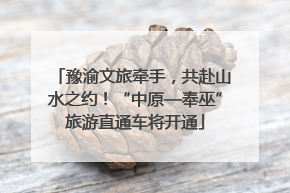 豫渝文旅牵手，共赴山水之约！“中原—奉巫”旅游直通车将开通