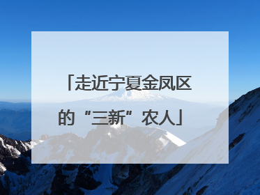 走近宁夏金凤区的“三新”农人