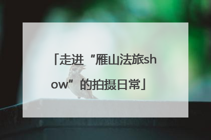 走进“雁山法旅show”的拍摄日常