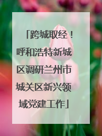 跨城取经！呼和浩特新城区调研兰州市城关区新兴领域党建工作