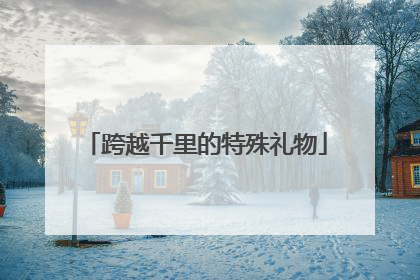 跨越千里的特殊礼物