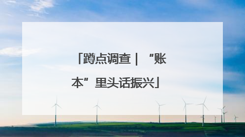 蹲点调查｜“账本”里头话振兴