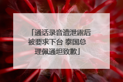 通话录音遭泄露后被要求下台 泰国总理佩通坦致歉