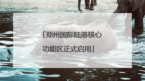 郑州国际陆港核心功能区正式启用