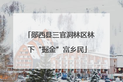 郧西县三官洞林区林下“掘金”富乡民