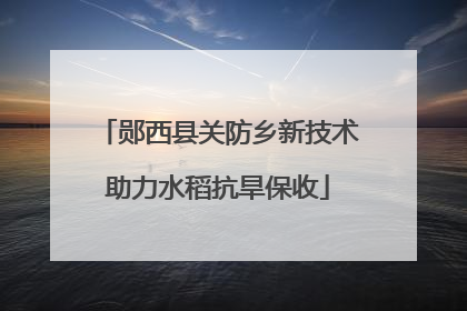郧西县关防乡新技术助力水稻抗旱保收