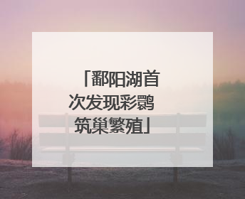 鄱阳湖首次发现彩鹮筑巢繁殖
