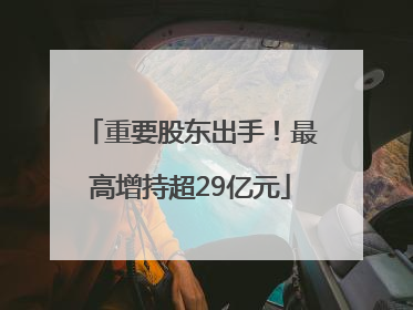 重要股东出手！最高增持超29亿元