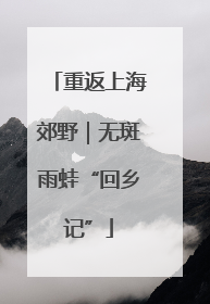 重返上海郊野｜无斑雨蛙“回乡记”