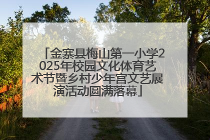 金寨县梅山第一小学2025年校园文化体育艺术节暨乡村少年宫文艺展演活动圆满落幕