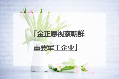 金正恩视察朝鲜重要军工企业