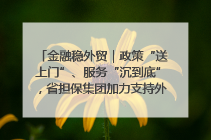 金融稳外贸｜政策“送上门”、服务“沉到底”，省担保集团加力支持外经贸高质量发展