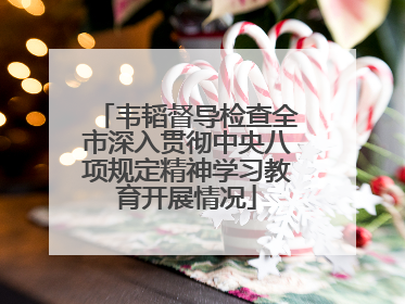 韦韬督导检查全市深入贯彻中央八项规定精神学习教育开展情况