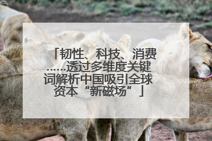 韧性、科技、消费……透过多维度关键词解析中国吸引全球资本“新磁场”