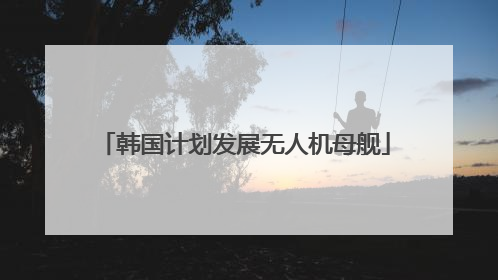 韩国计划发展无人机母舰