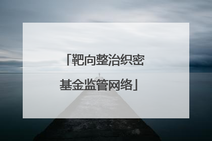 靶向整治织密基金监管网络
