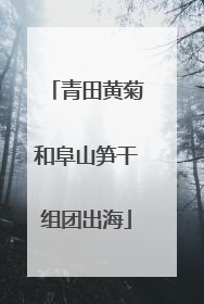 青田黄菊和阜山笋干组团出海