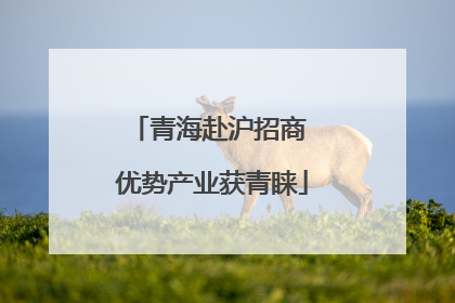 青海赴沪招商 优势产业获青睐
