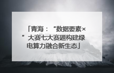 青海：“数据要素×”大赛七大赛题构建绿电算力融合新生态