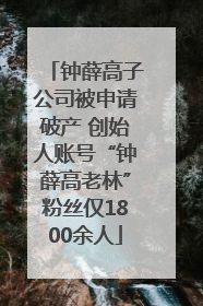 钟薛高子公司被申请破产 创始人账号“钟薛高老林”粉丝仅1800余人