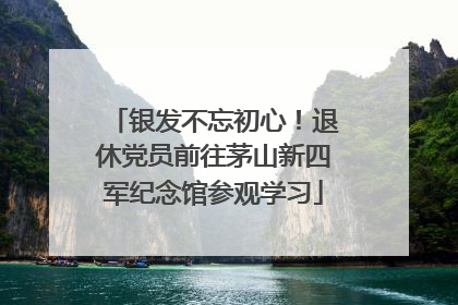 银发不忘初心！退休党员前往茅山新四军纪念馆参观学习