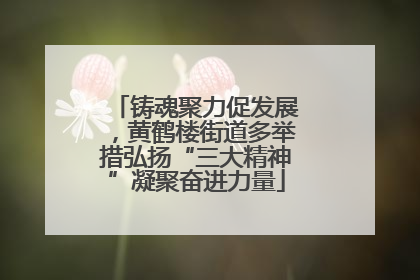 铸魂聚力促发展，黄鹤楼街道多举措弘扬“三大精神”凝聚奋进力量