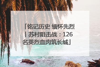 铭记历史 缅怀先烈丨苏村阻击战：126名英烈血肉筑长城