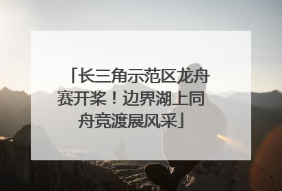 长三角示范区龙舟赛开桨！边界湖上同舟竞渡展风采