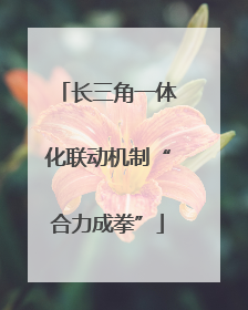 长三角一体化联动机制“合力成拳”