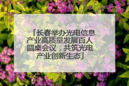 长春举办光电信息产业高质量发展百人圆桌会议，共筑光电产业创新生态