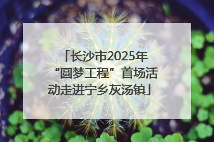 长沙市2025年“圆梦工程”首场活动走进宁乡灰汤镇