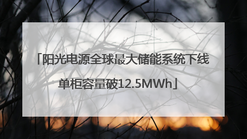 阳光电源全球最大储能系统下线 单柜容量破12.5MWh