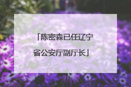 陈密森已任辽宁省公安厅副厅长
