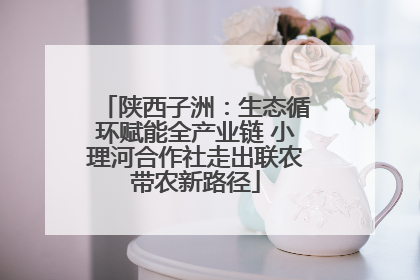 陕西子洲：生态循环赋能全产业链 小理河合作社走出联农带农新路径