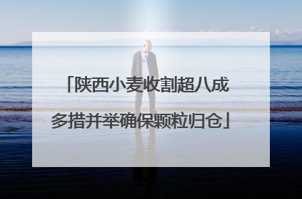 陕西小麦收割超八成 多措并举确保颗粒归仓