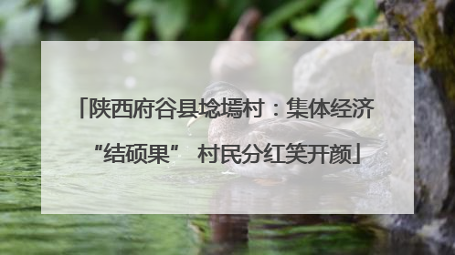 陕西府谷县埝墕村：集体经济“结硕果” 村民分红笑开颜