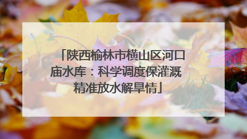 陕西榆林市横山区河口庙水库：科学调度保灌溉 精准放水解旱情