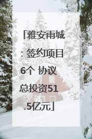 雅安雨城：签约项目6个 协议总投资51.5亿元