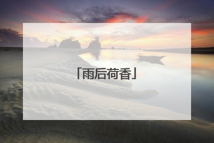 雨后荷香