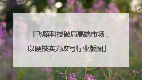 飞骧科技破局高端市场，以硬核实力改写行业版图